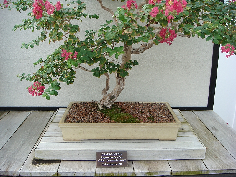 327 Longwood Gardens [2008 August 23].JPG - Longwood Gardens in Pennsylvania